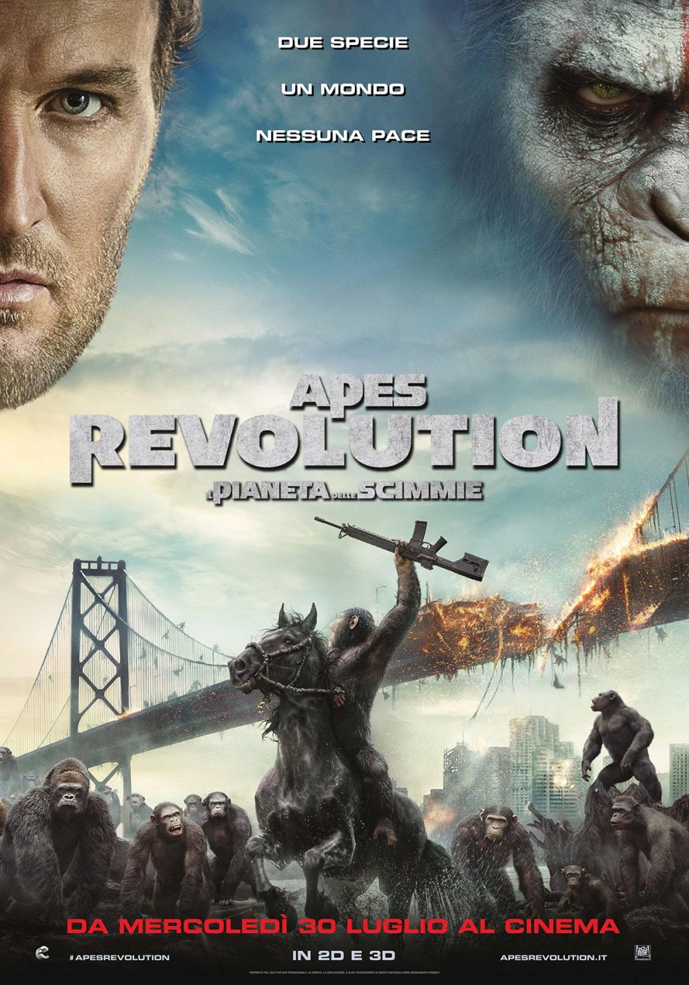 apes revolution