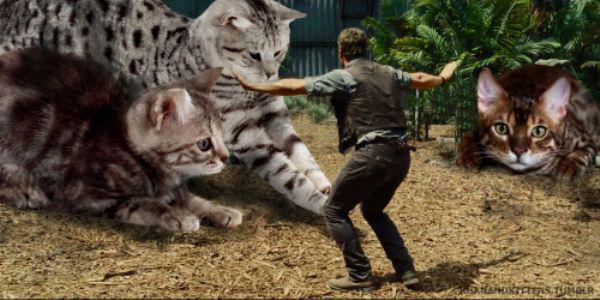 Jurassic Cats