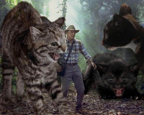 Jurassic Cats