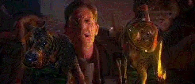 1329190371015558063