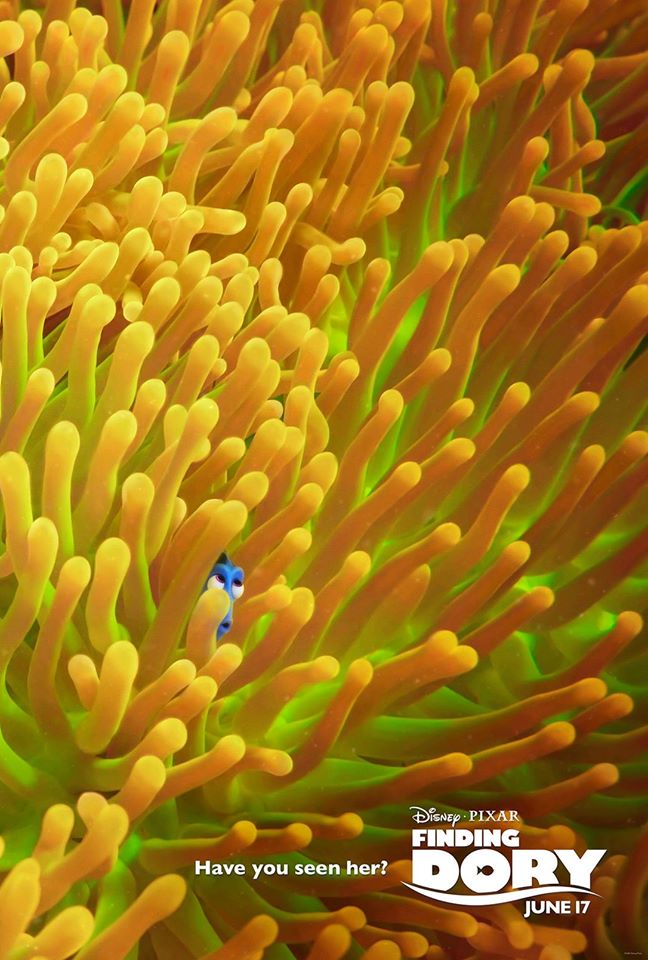 alla ricerca di dory