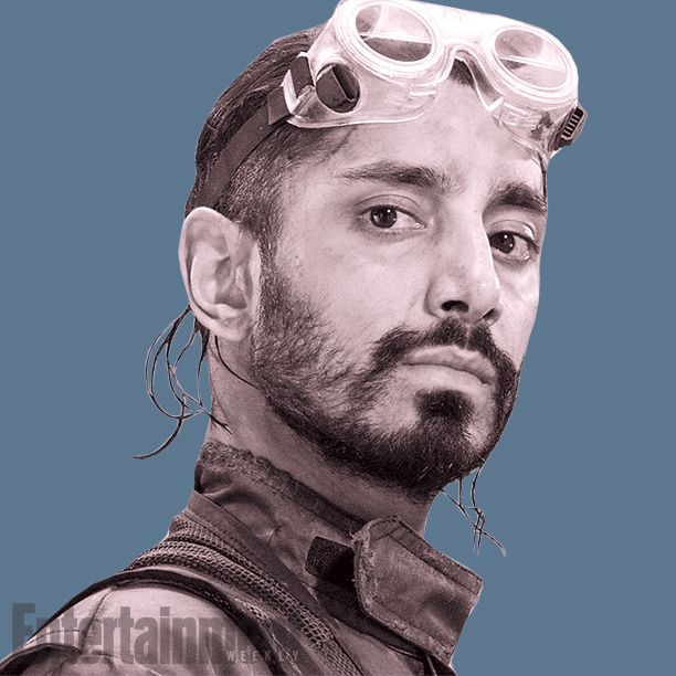 bodhi
