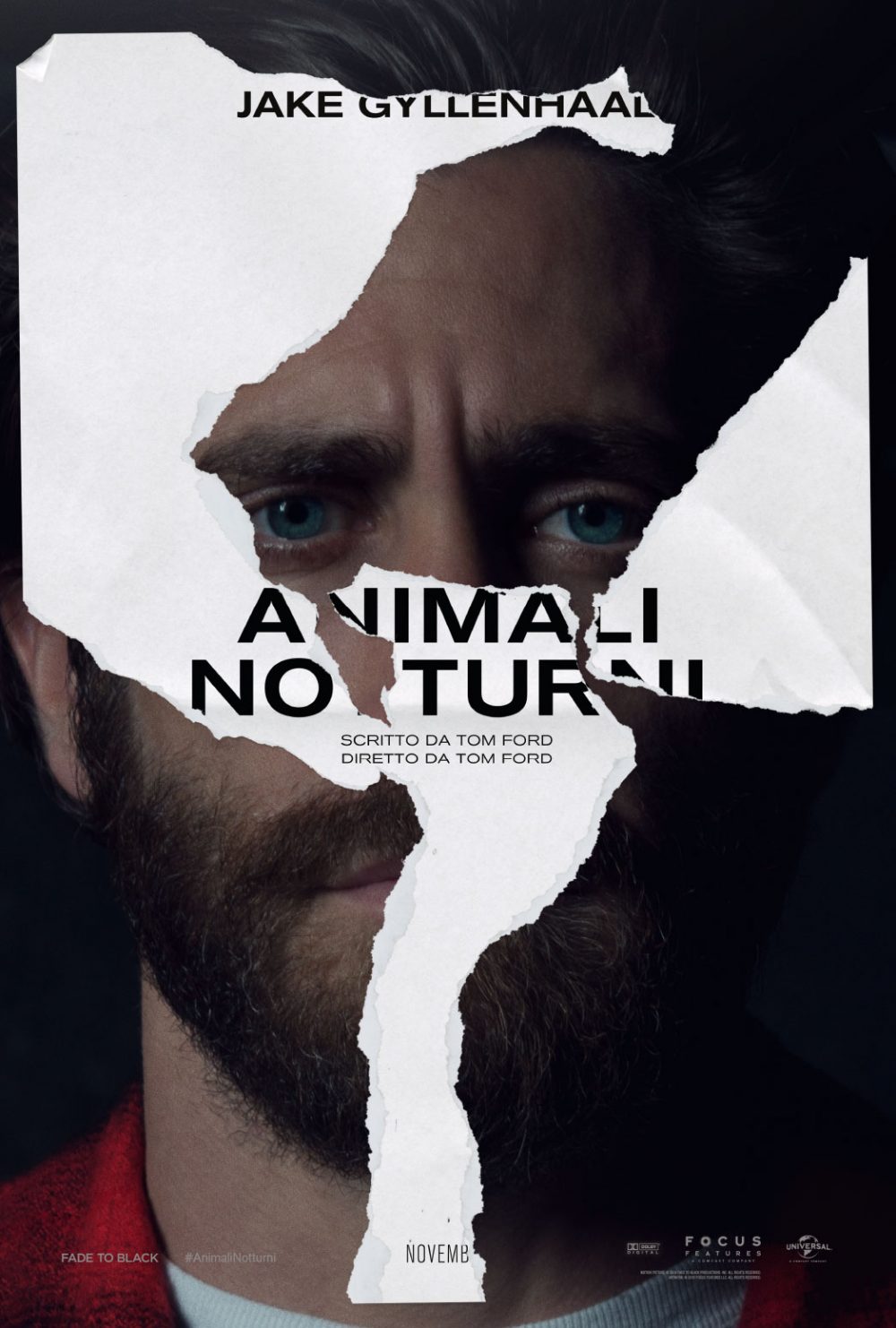 animali-notturni-