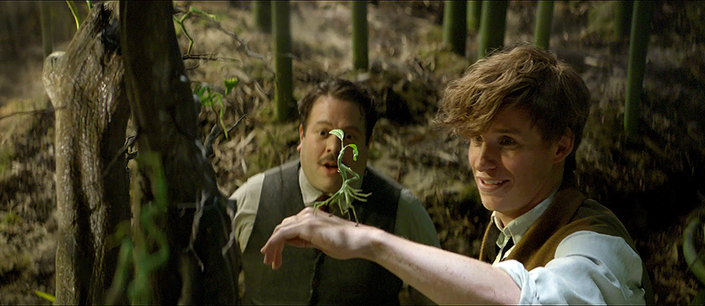 Bowtruckle (Asticello)