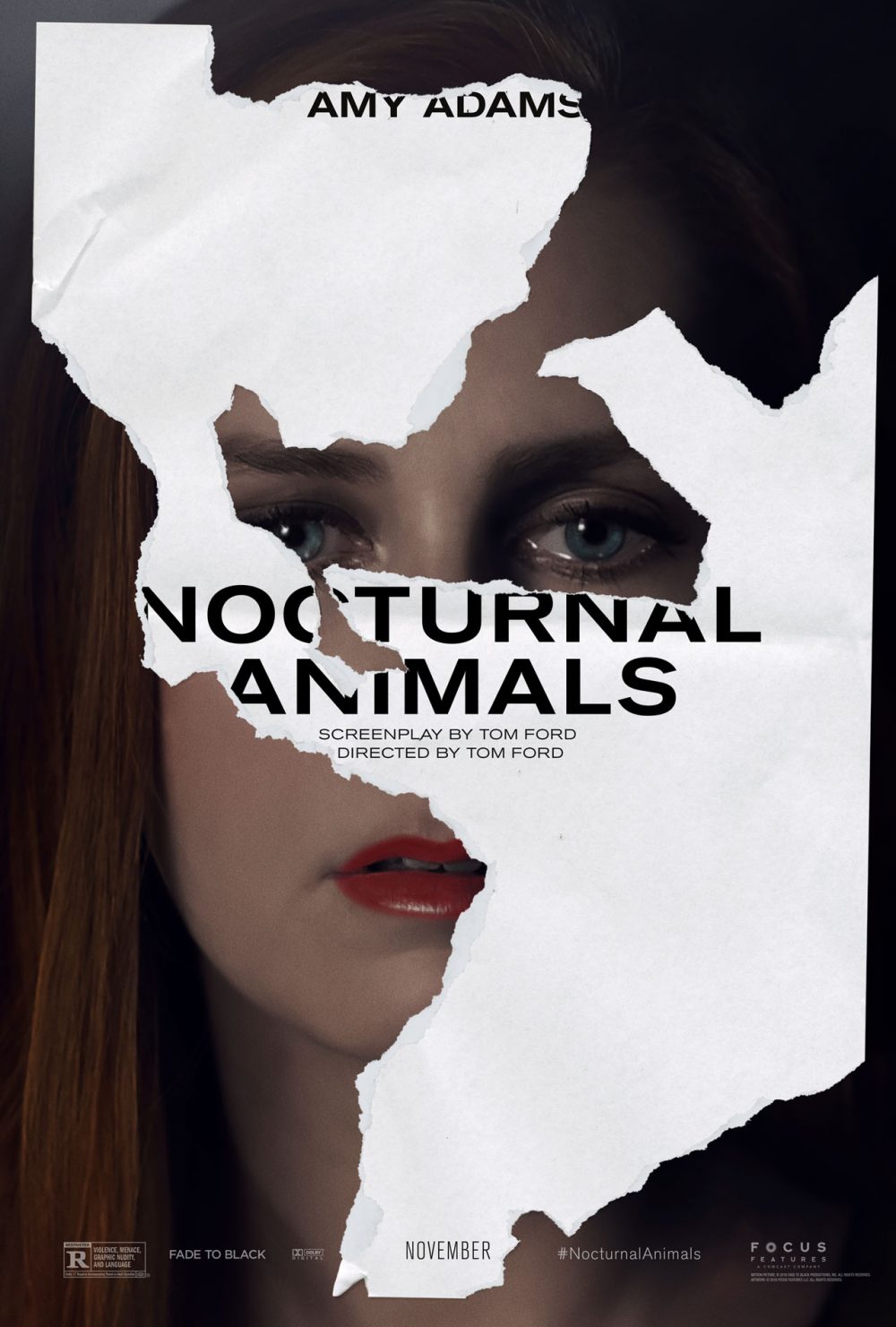 animali notturni