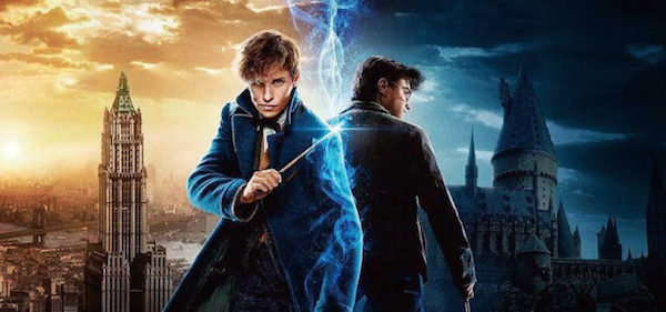 Harry Potter Newt Scamander