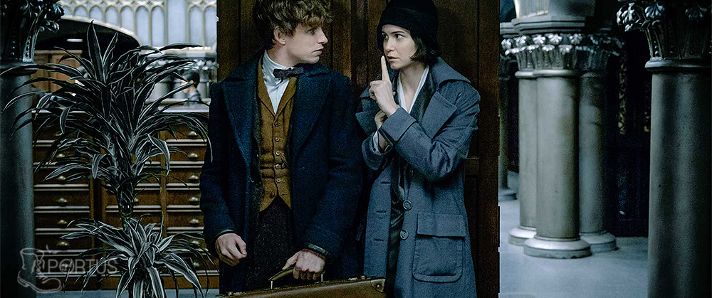 FANTASTIC BEASTS AND WHERE TO FIND THEM