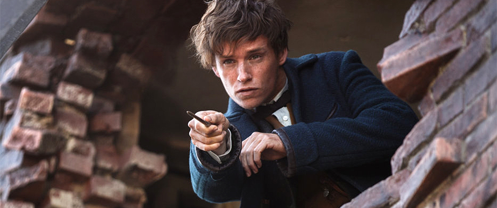 newt-scamander-scena-tagliata