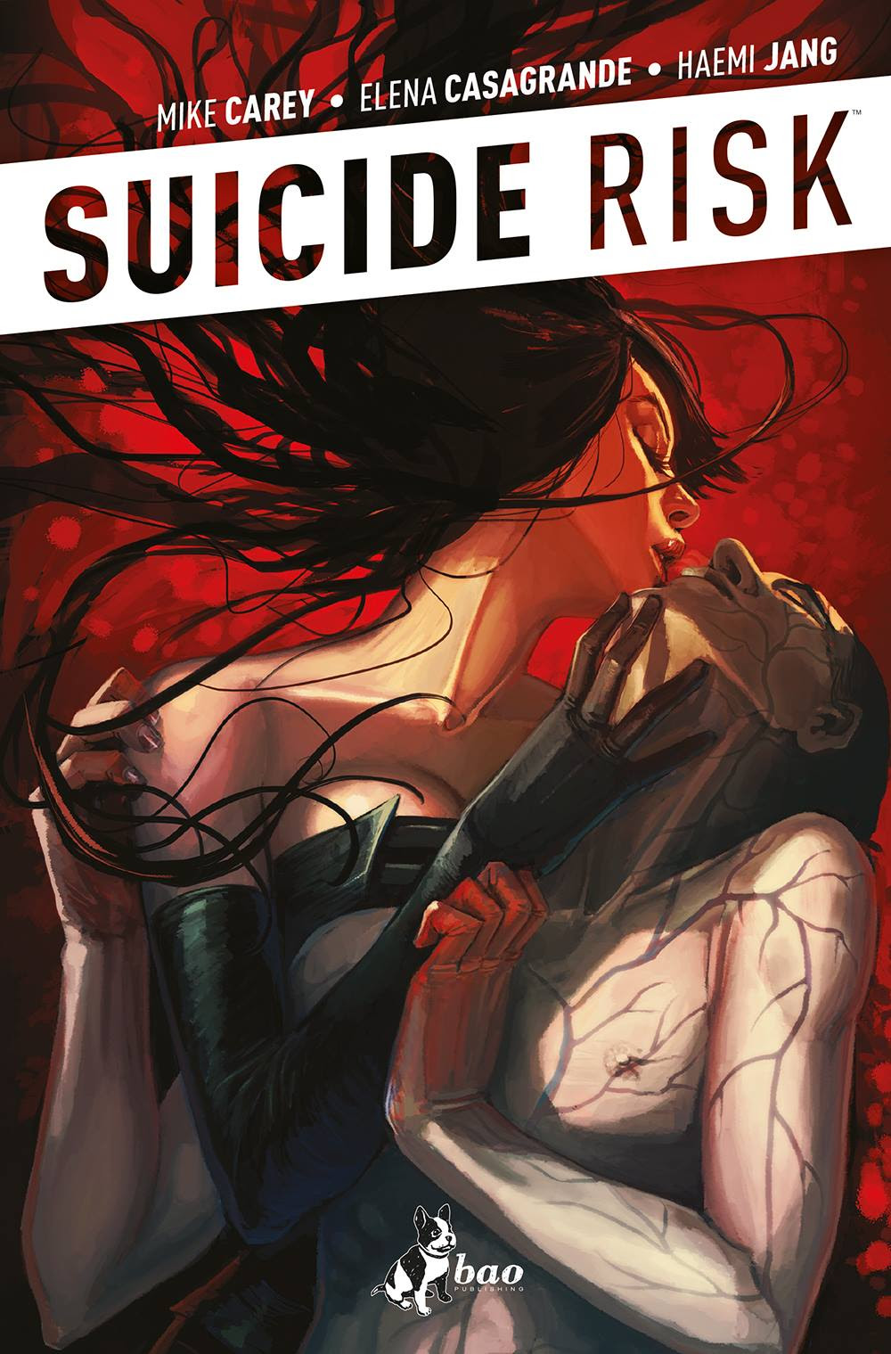 Suicide Risk vol. 5