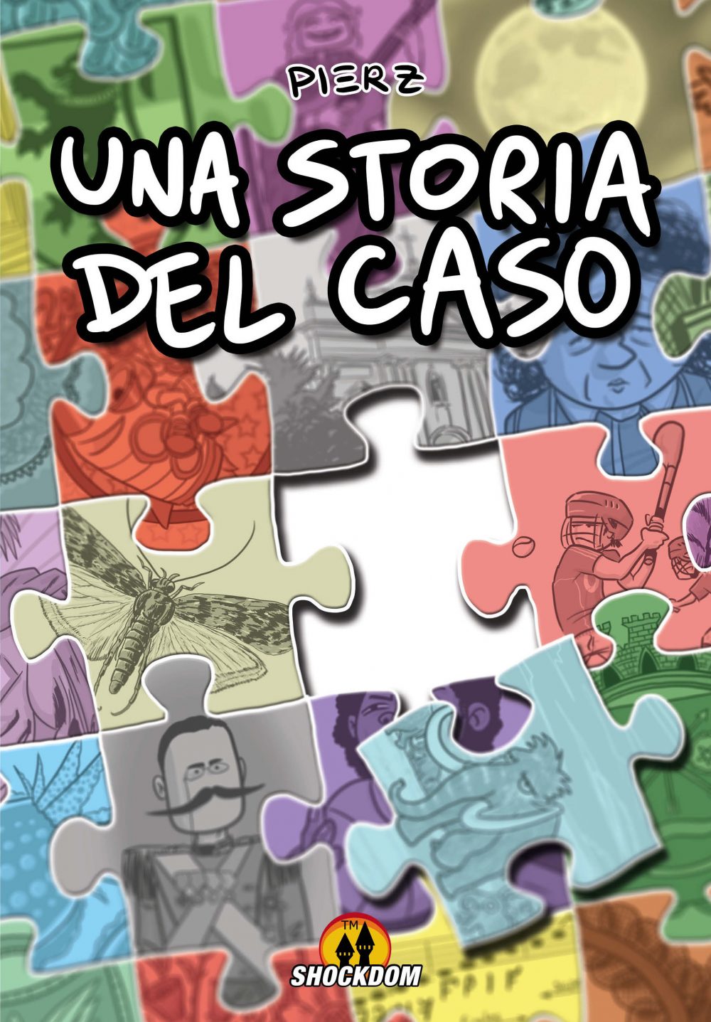 Una storia del caso, copertina di Pierz