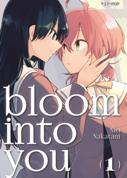 Boom Into You, copertina