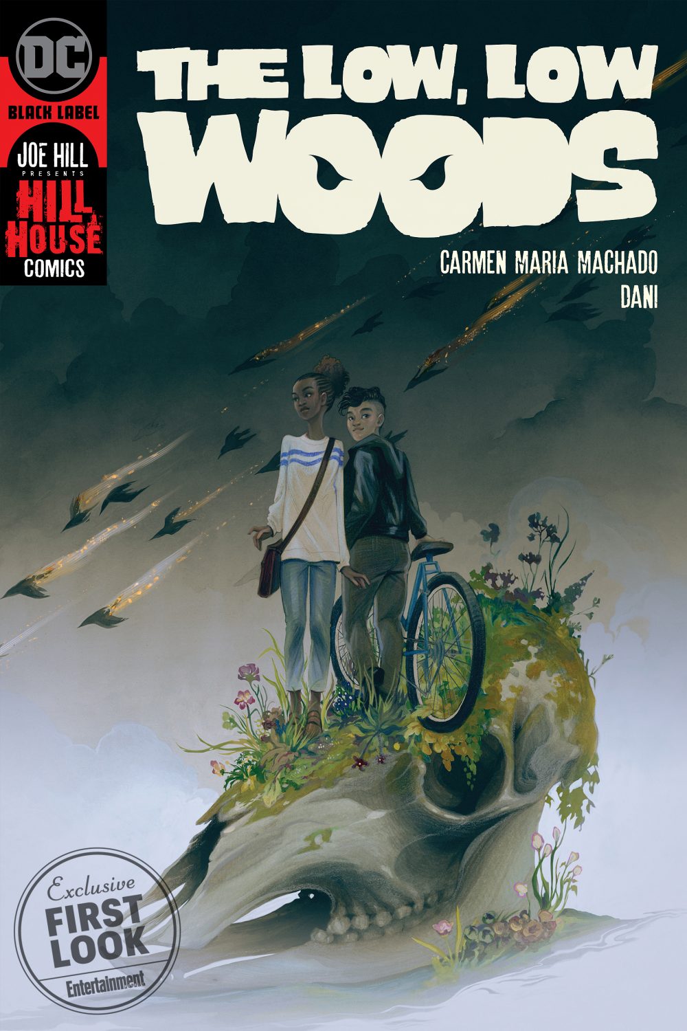 Low, Low Woods #1, copertina di Dani