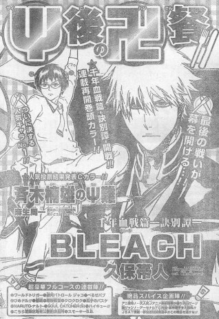 Bleach