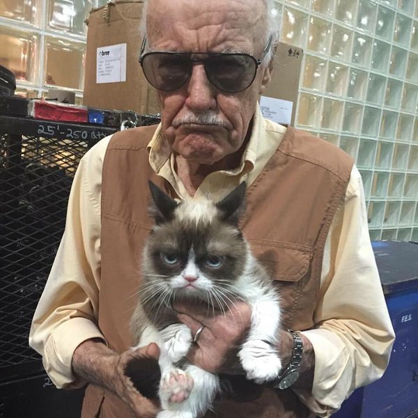 Stan Lee e Grumpy Cat