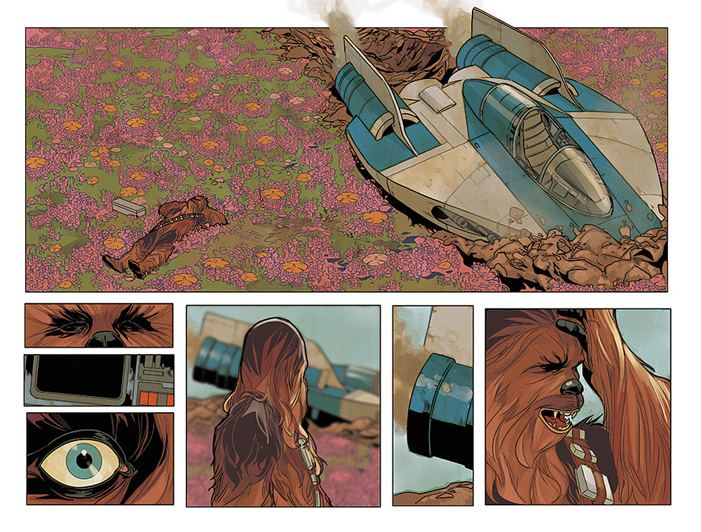 Chewbacca #1, anteprima 02