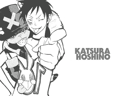 Katsura Hoshino