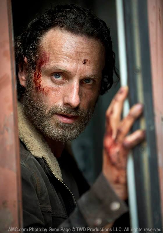 the walking dead 5 foto