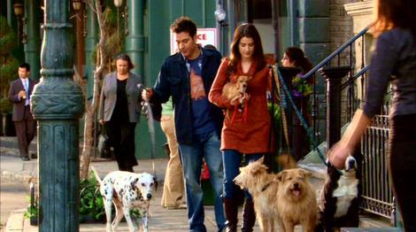 dog-walking-and-how-i-met-your-mother-gallery