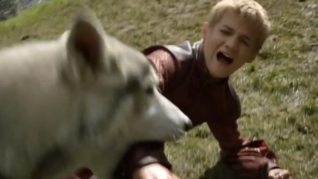 Joffrey Lady Direwolf