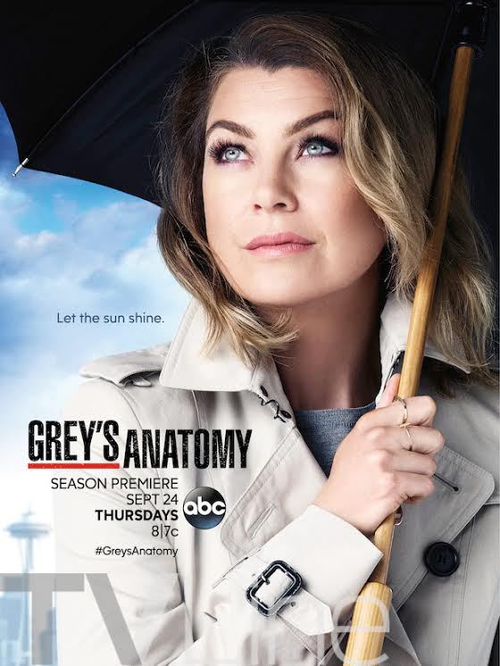 greys anatomy 12 poster