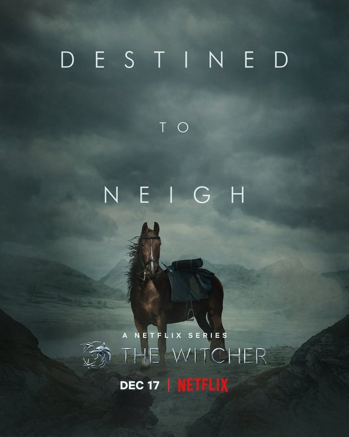 The Witcher Poster Roach