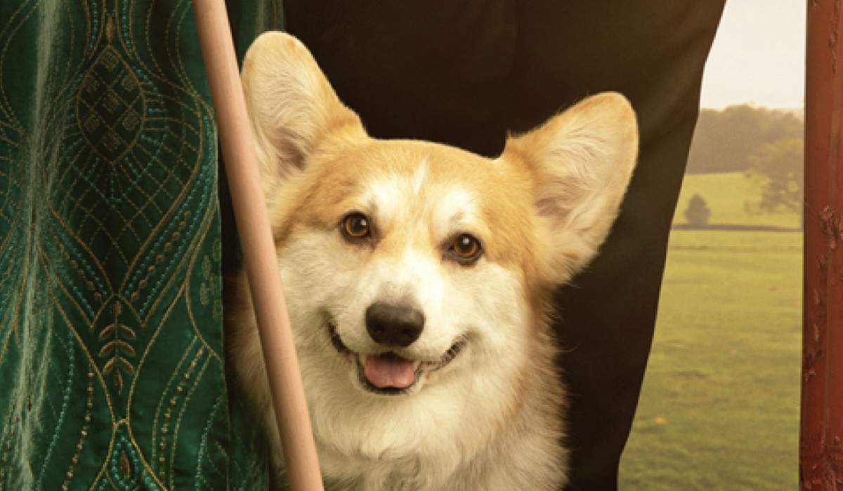 newton corgi bridgerton