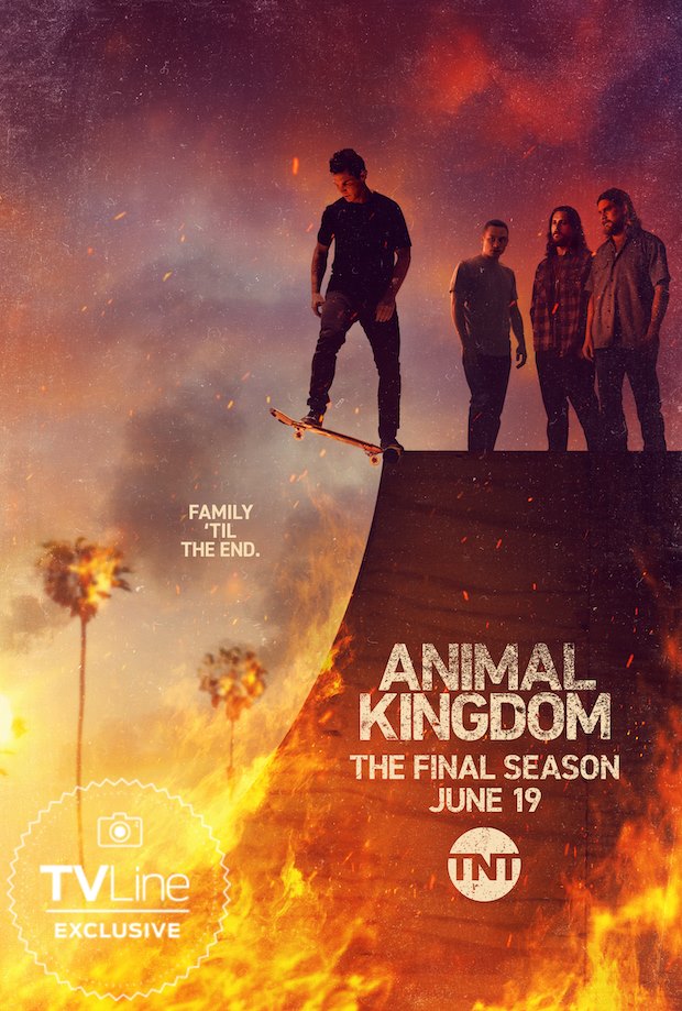 Animal Kingdom - Poster Stagione 6